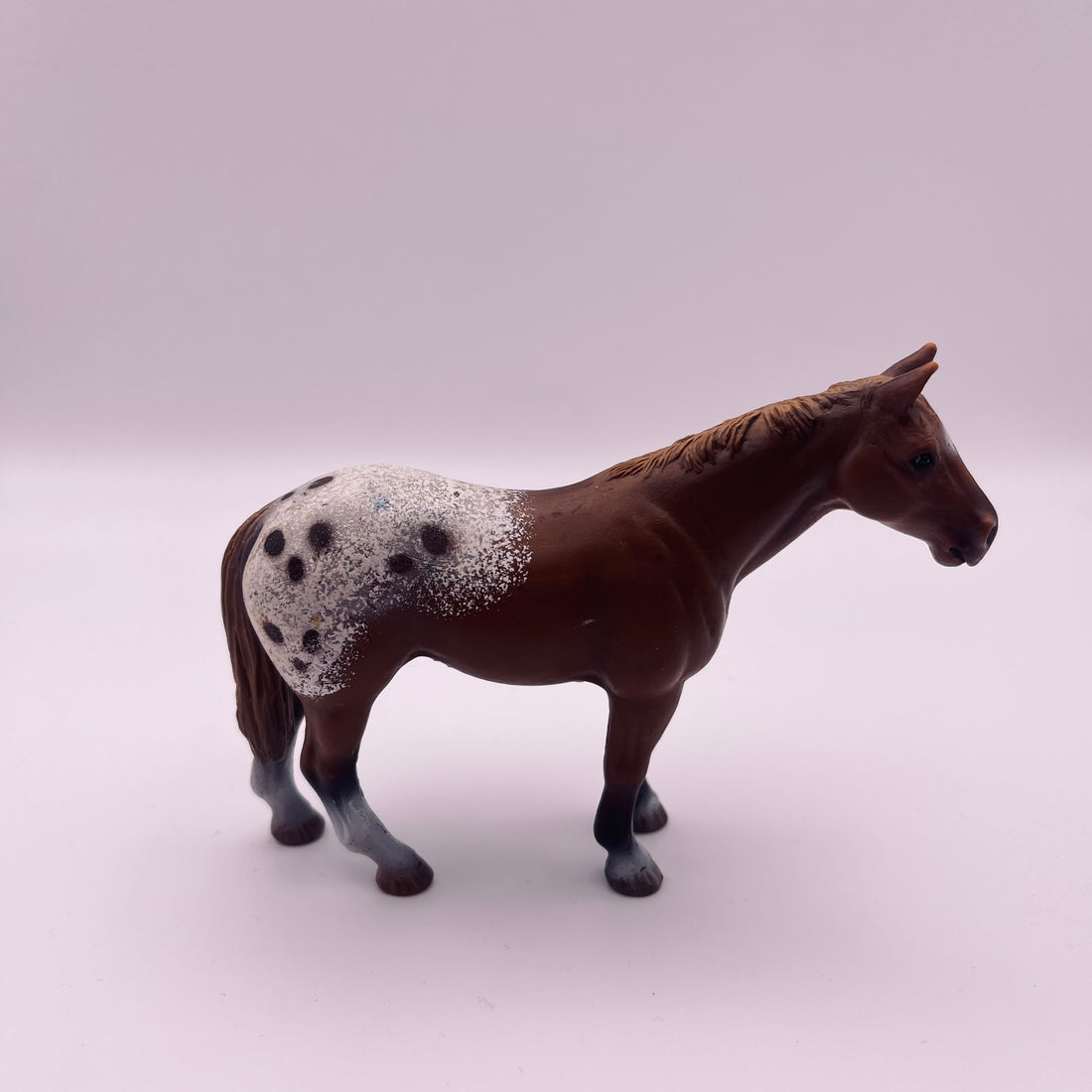 Pferd (gebraucht)