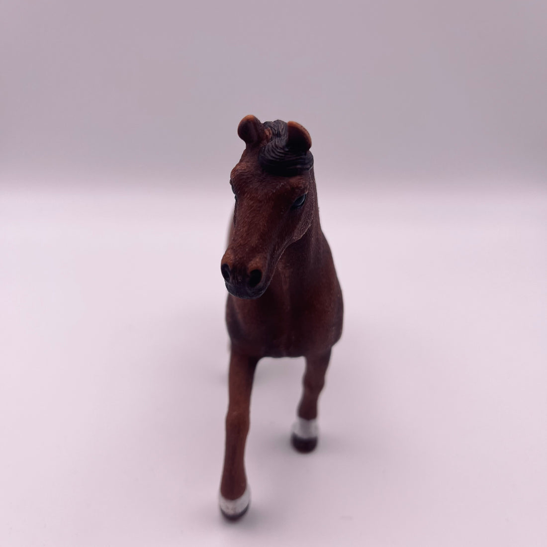 Pferd (gebraucht)