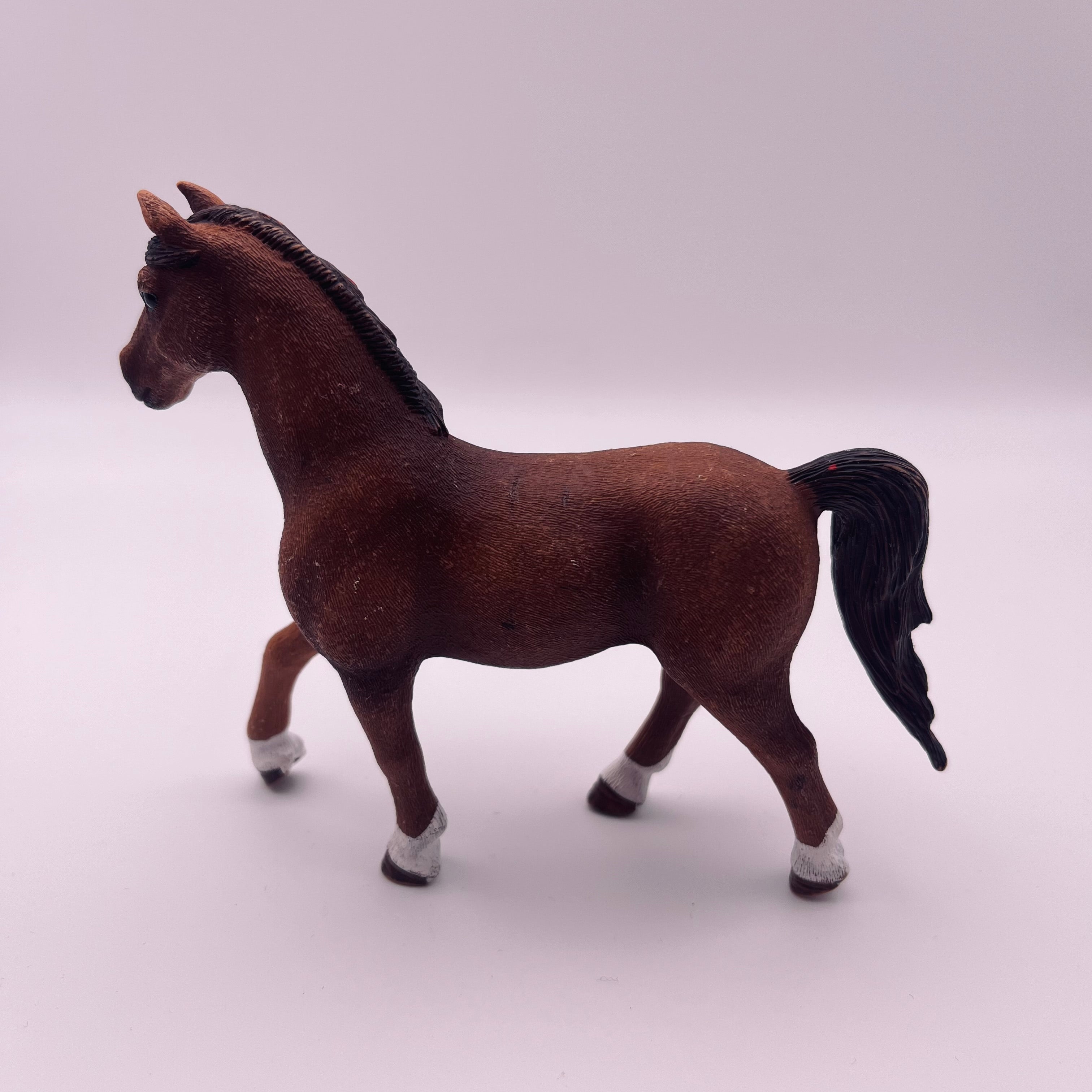 Pferd (gebraucht)