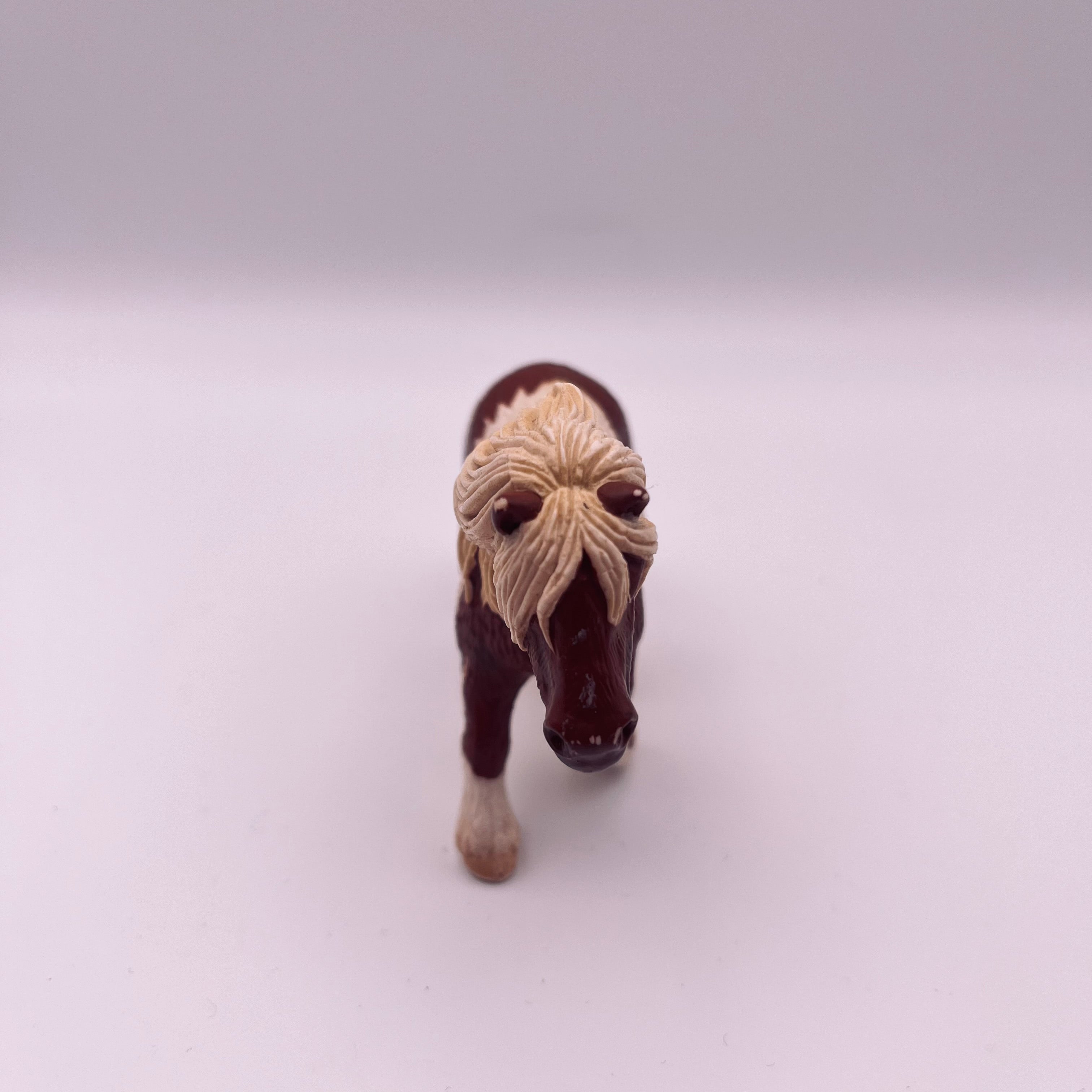 Pferd (gebraucht)