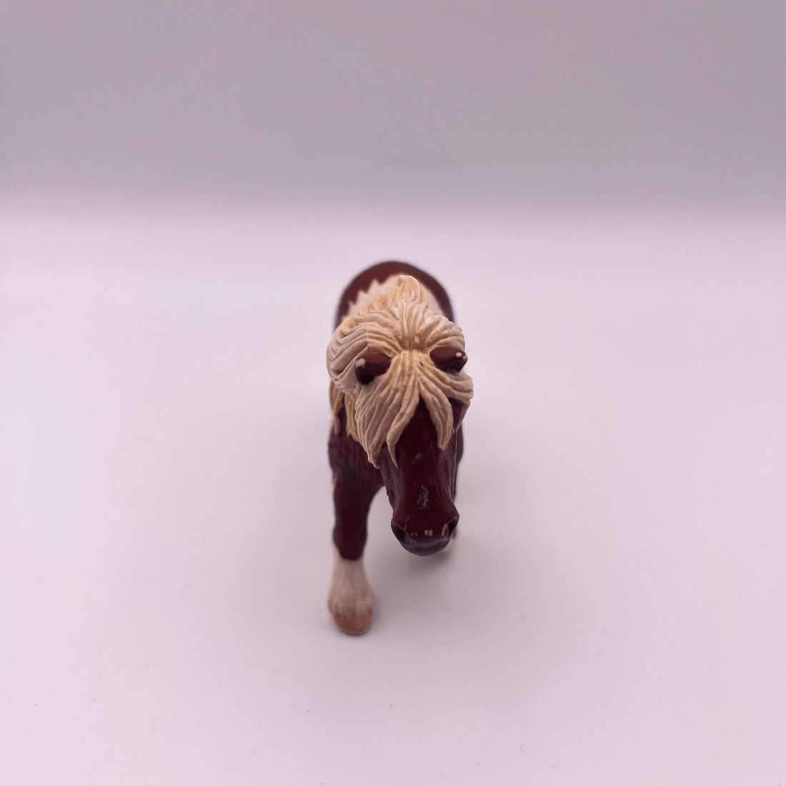 Pferd (gebraucht)