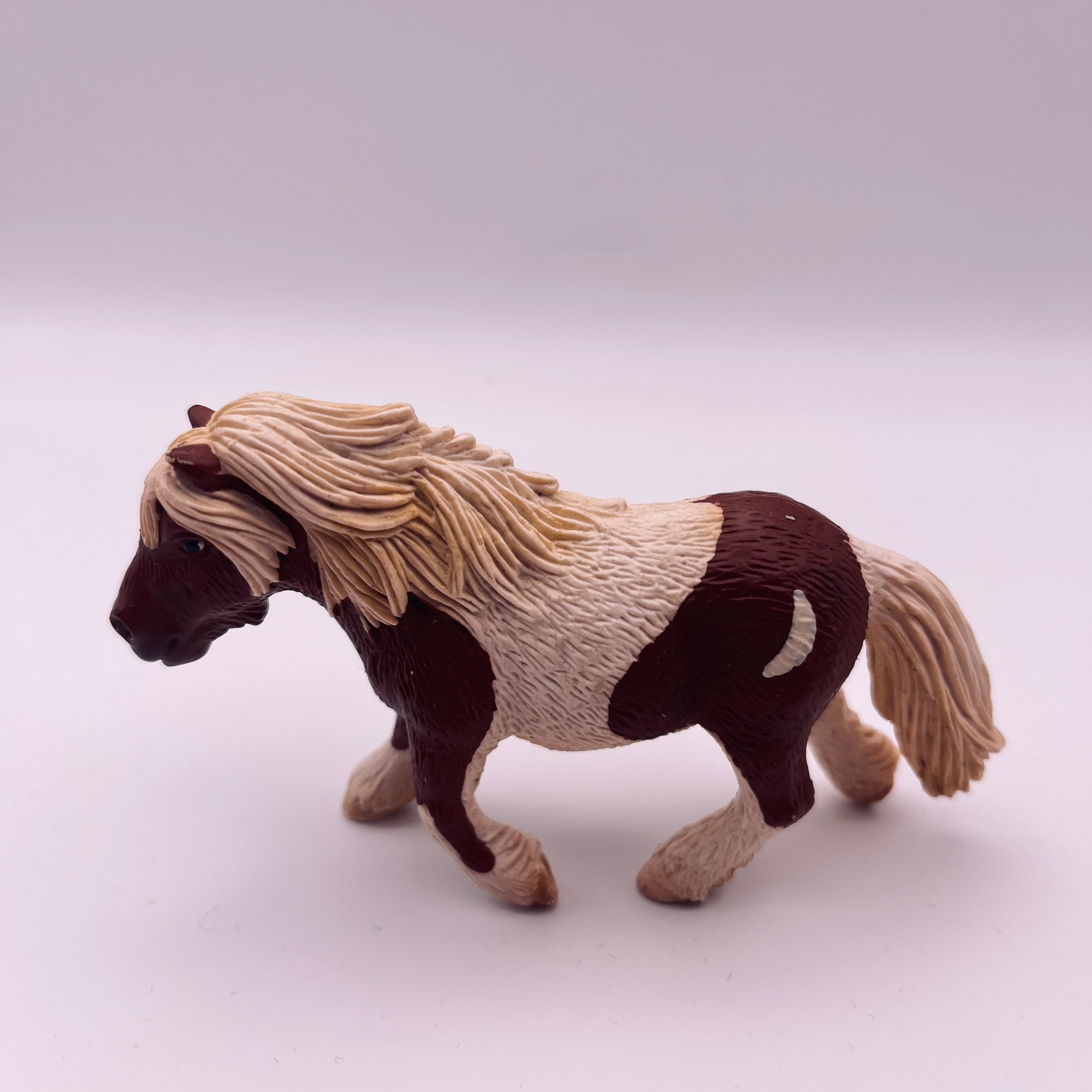 Pferd (gebraucht)