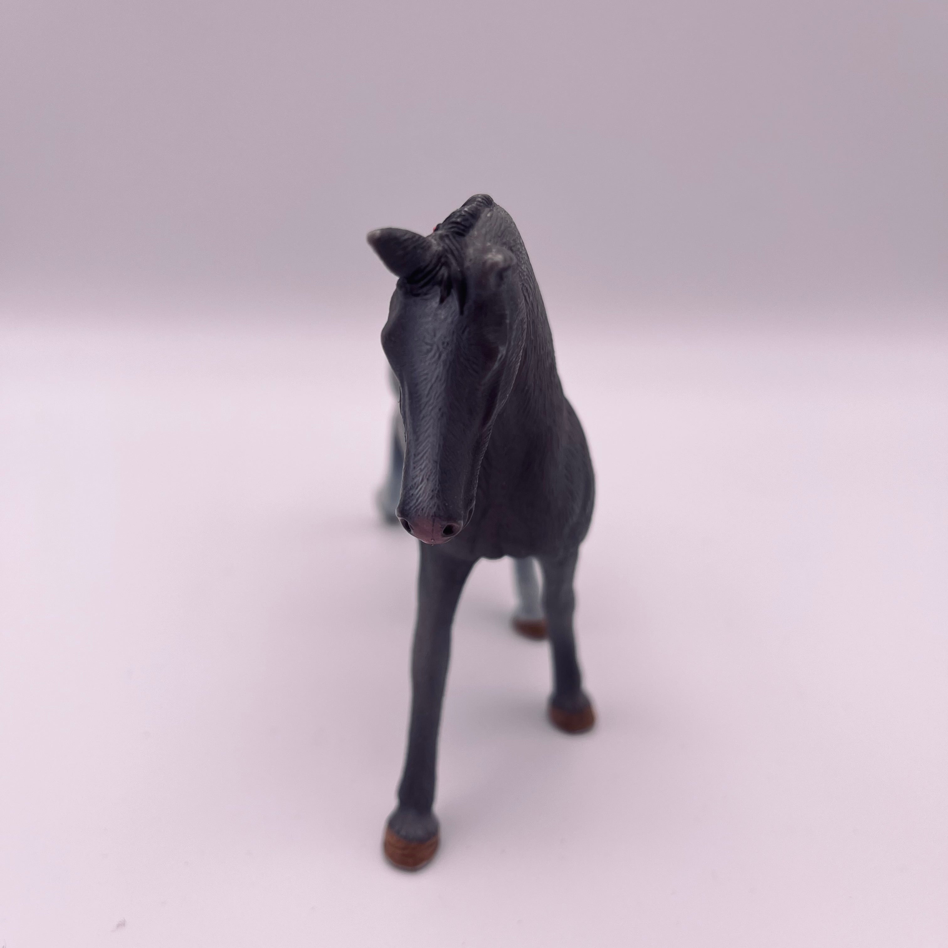 Pferd (gebraucht)