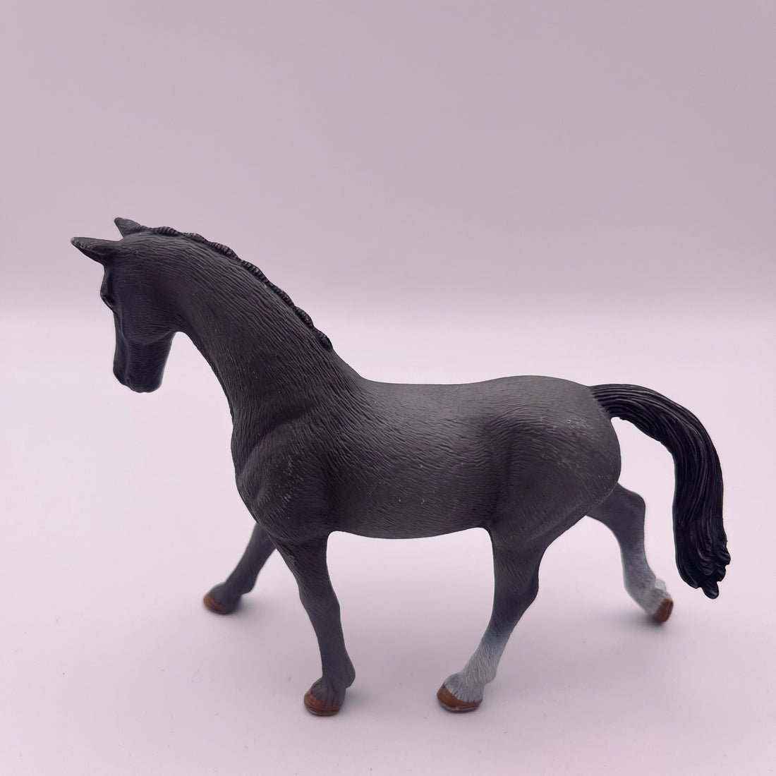 Pferd (gebraucht)