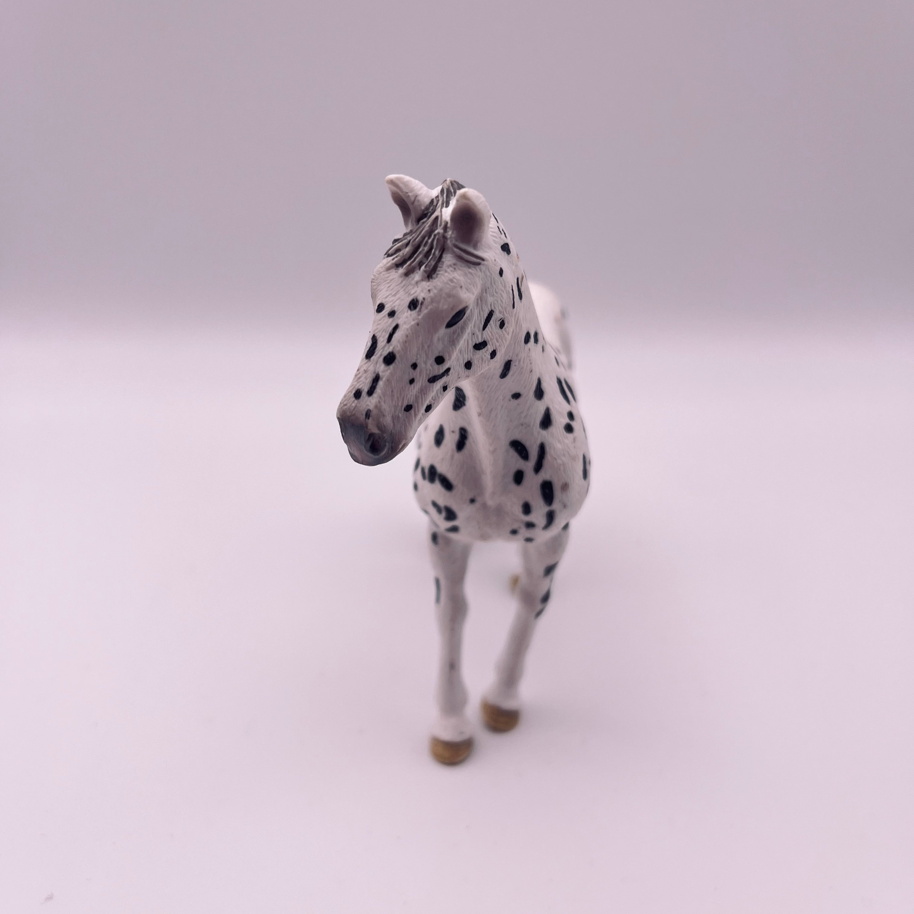 Pferd (gebraucht)
