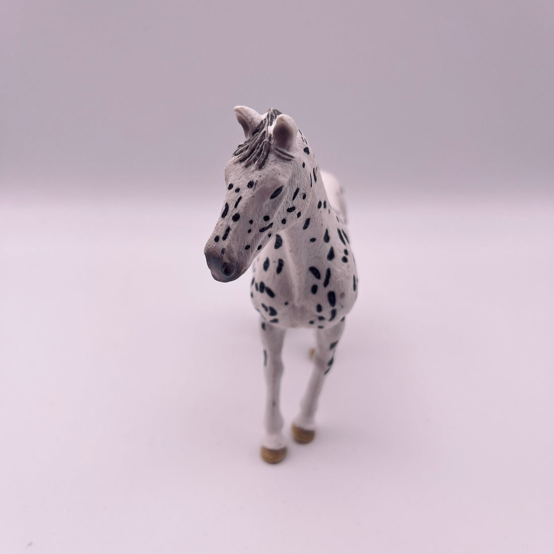 Pferd (gebraucht)
