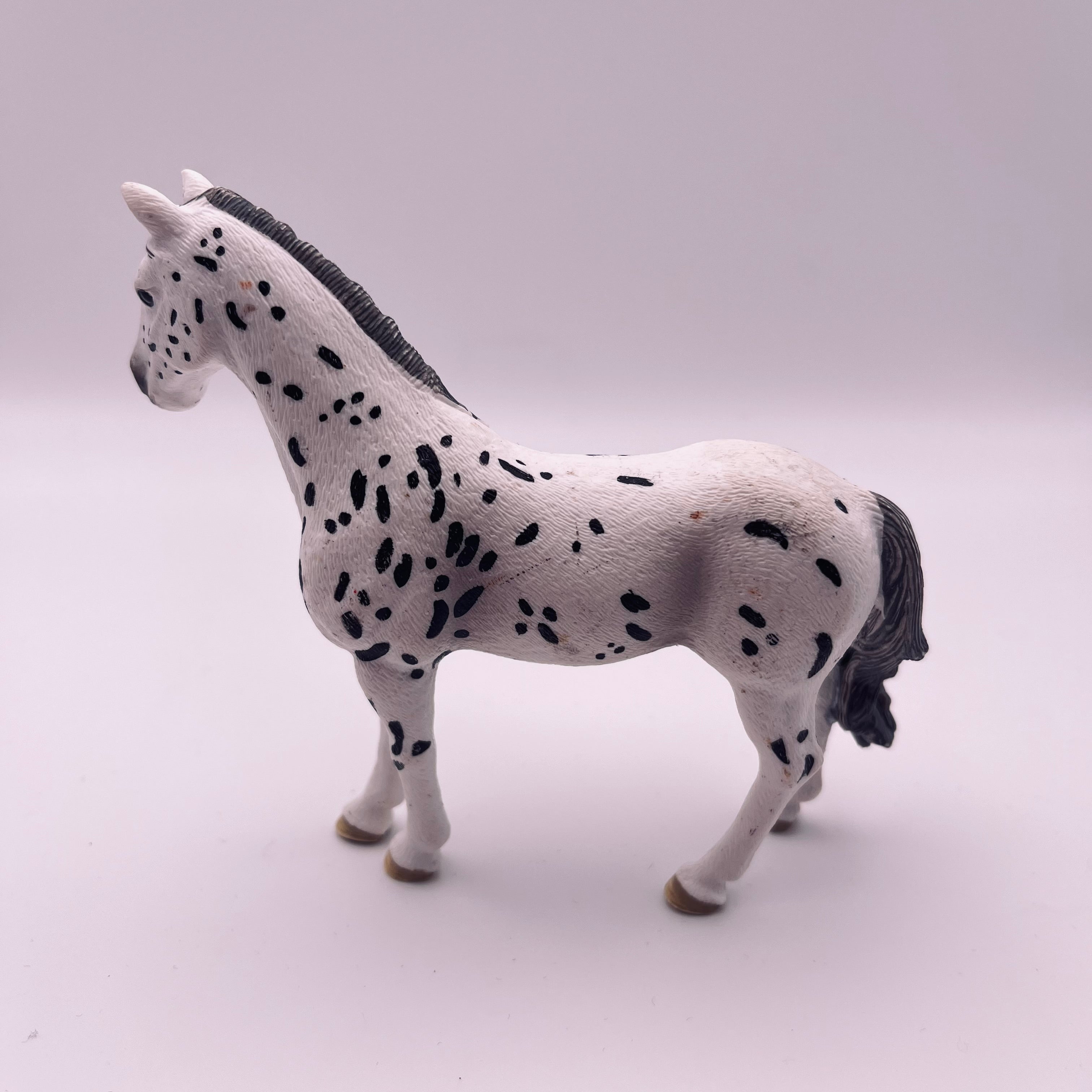 Pferd (gebraucht)