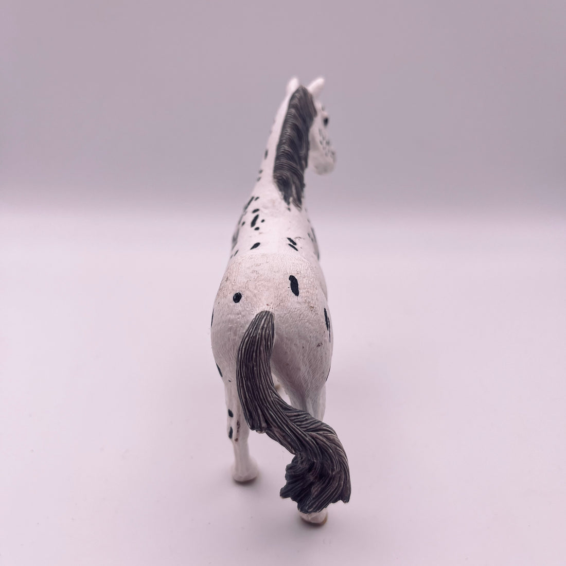 Pferd (gebraucht)