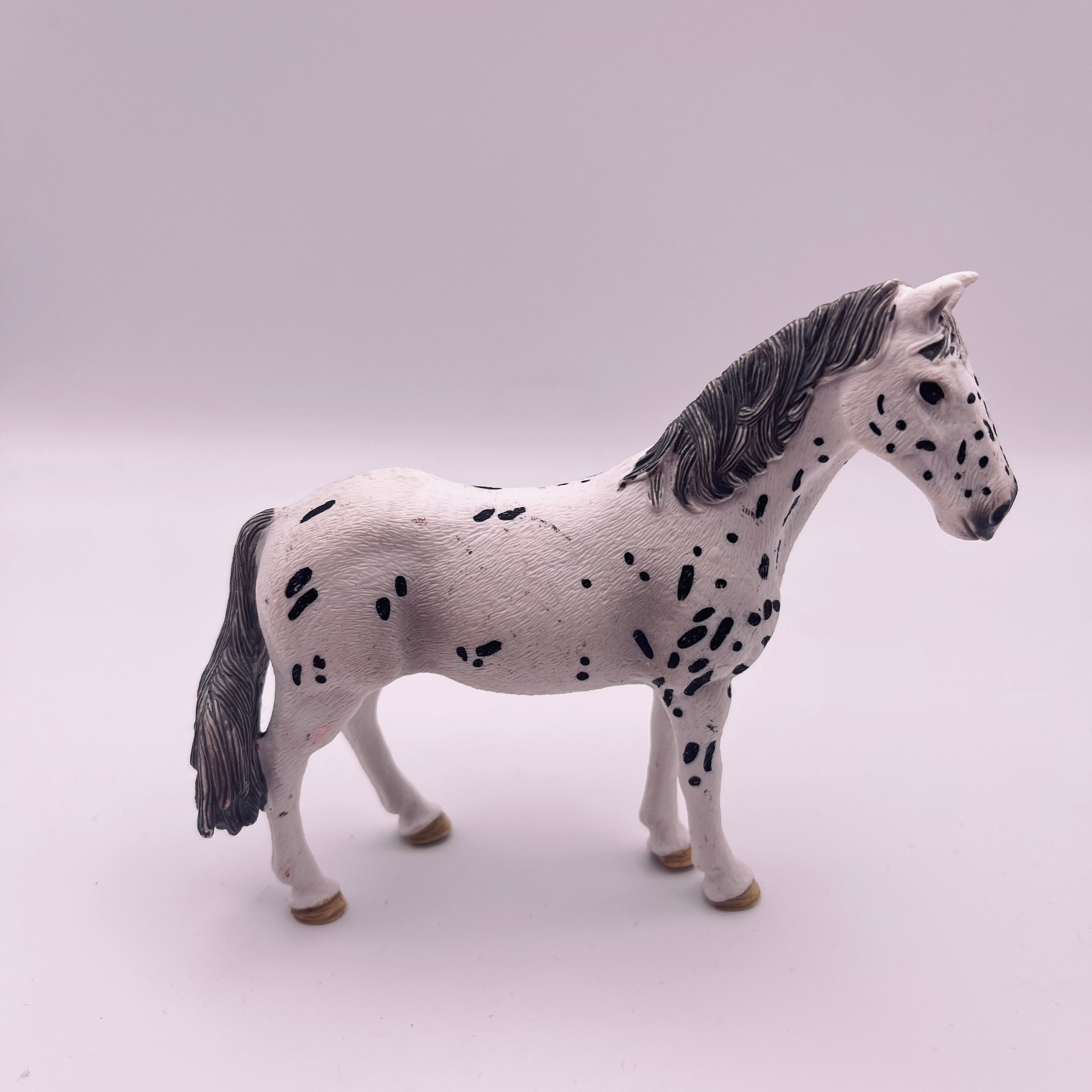Pferd (gebraucht)